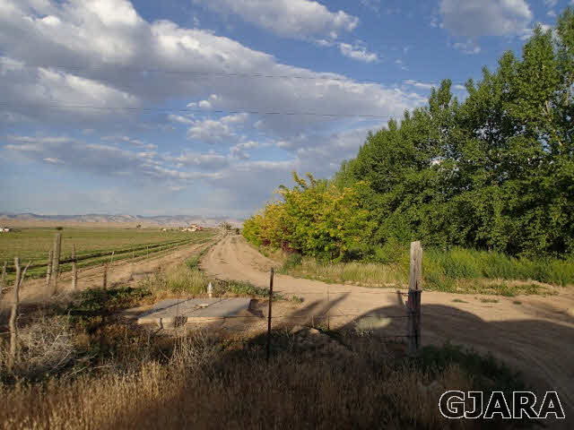 1749 12 Road Loma, CO 81524 - Photo 2 of 9 a view of a lake with a yard