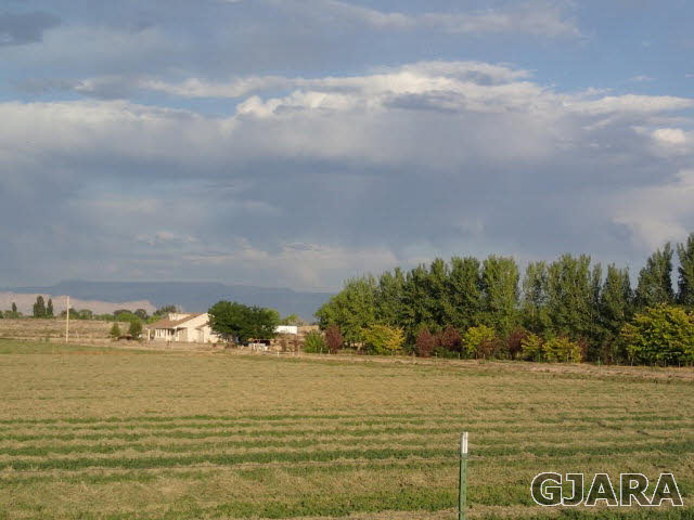 1749 12 Road Loma, CO 81524 - Photo 4 of 9 a view of an ocean