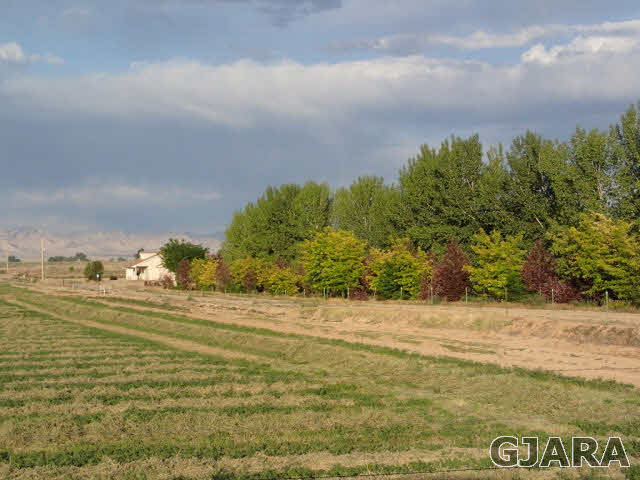 1749 12 Road Loma, CO 81524 - Photo 5 of 9 a view of ocean