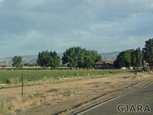 1749 12 Road Loma, CO 81524 - Photo 6 of 9 a view of a field with trees in background