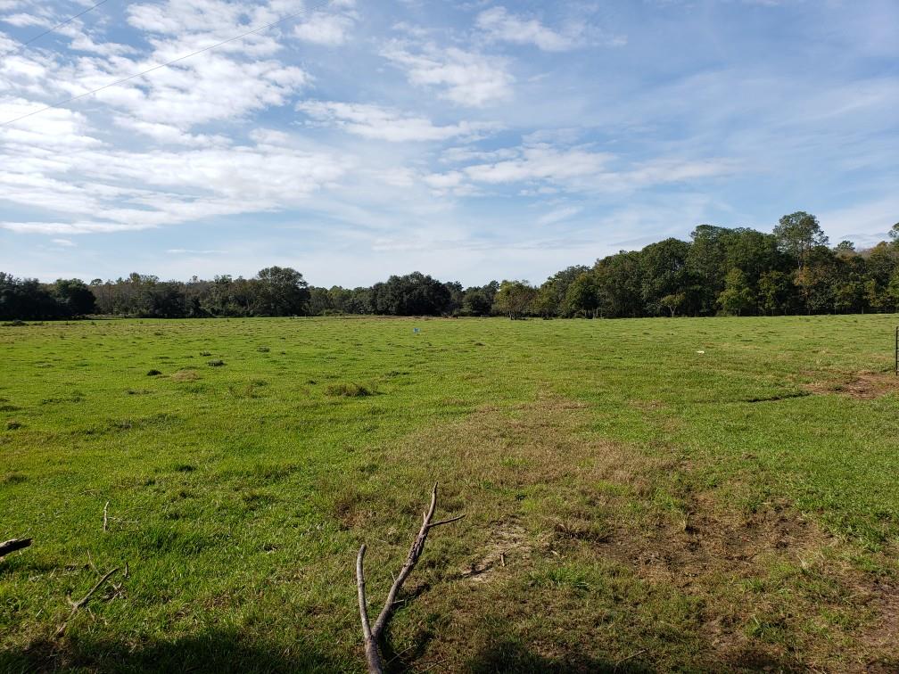 0 Lonnie Road Cottonwood, AL 36320 - Photo 1 of 1