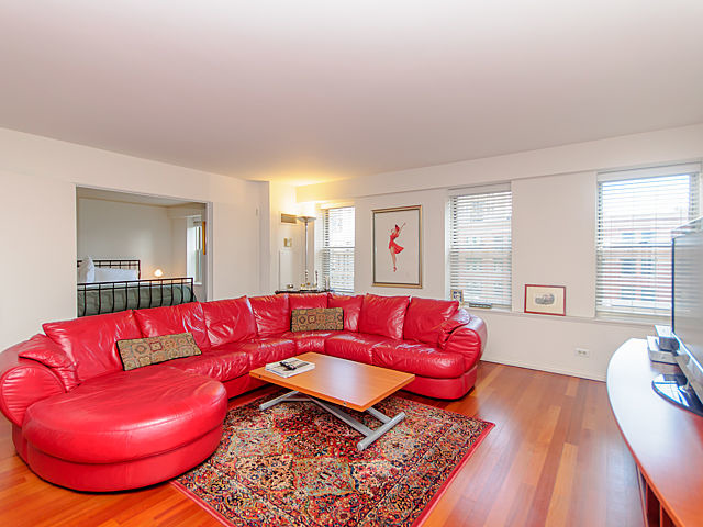 40 East 9th Street, Unit 701 Chicago, IL 60605 - Photo 5 of 24