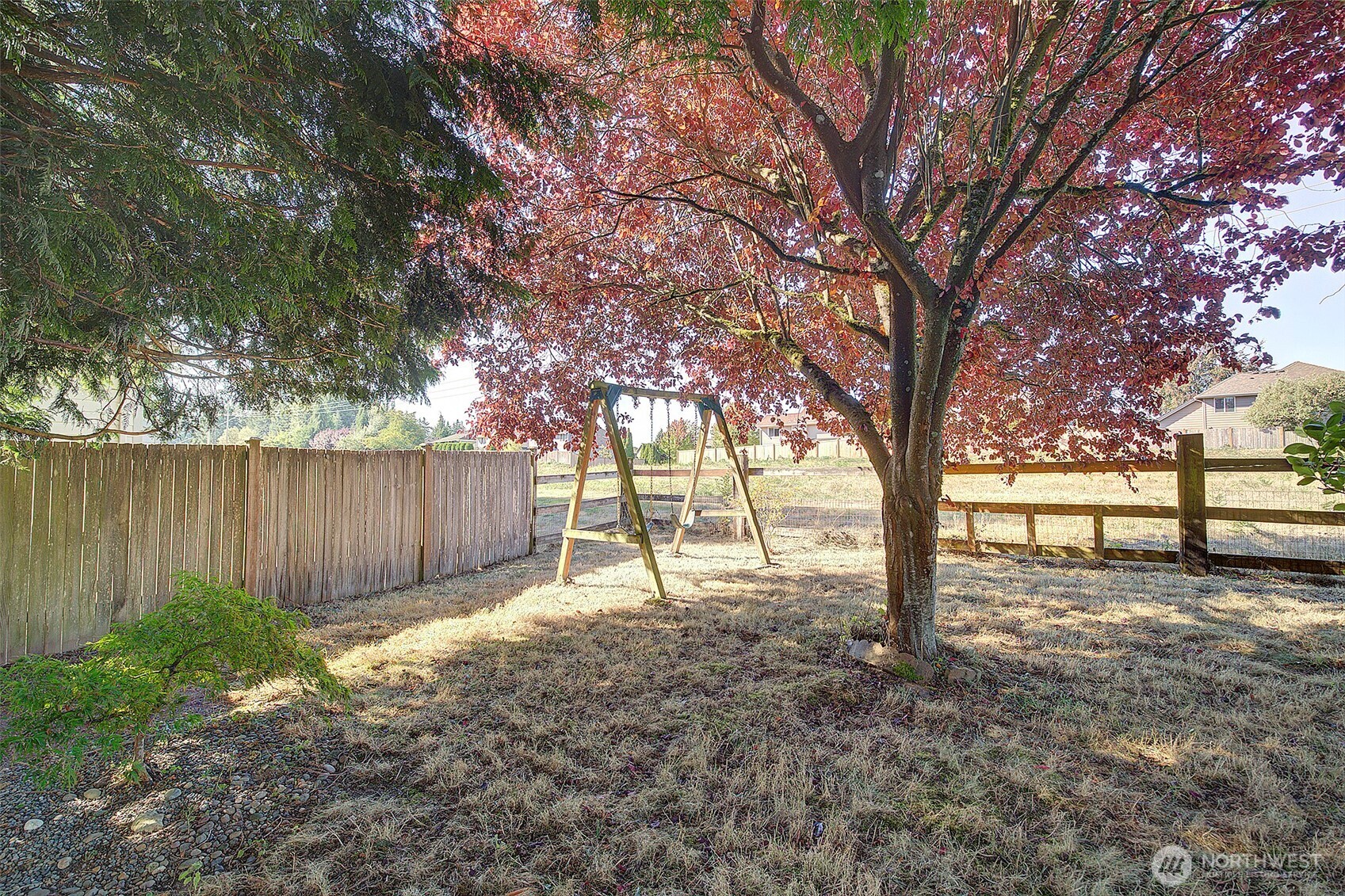 3002 200th Street Southeast Bothell, WA 98012 - Photo 30 of 34 a view of backyard with tree