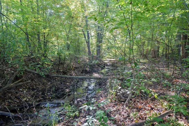 $769,900 | 31664 Fish Hatchery Road, Kalamazoo, MI 49009