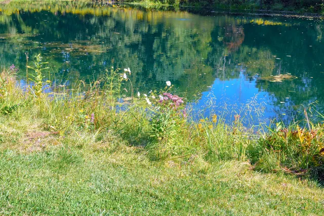 $769,900 | 31664 Fish Hatchery Road, Kalamazoo, MI 49009