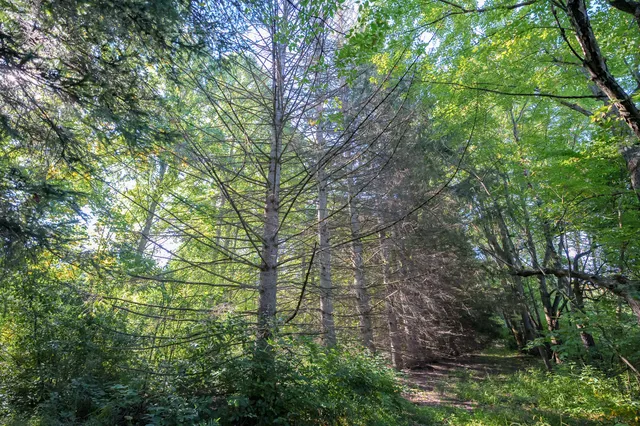 $769,900 | 31664 Fish Hatchery Road, Kalamazoo, MI 49009