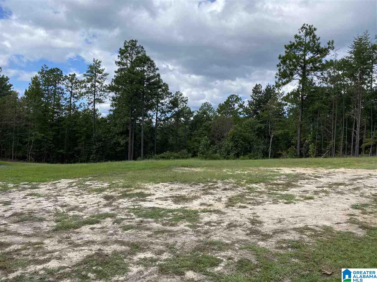 12400 George Newell Road Vance, AL 35490 - Photo 26 of 29