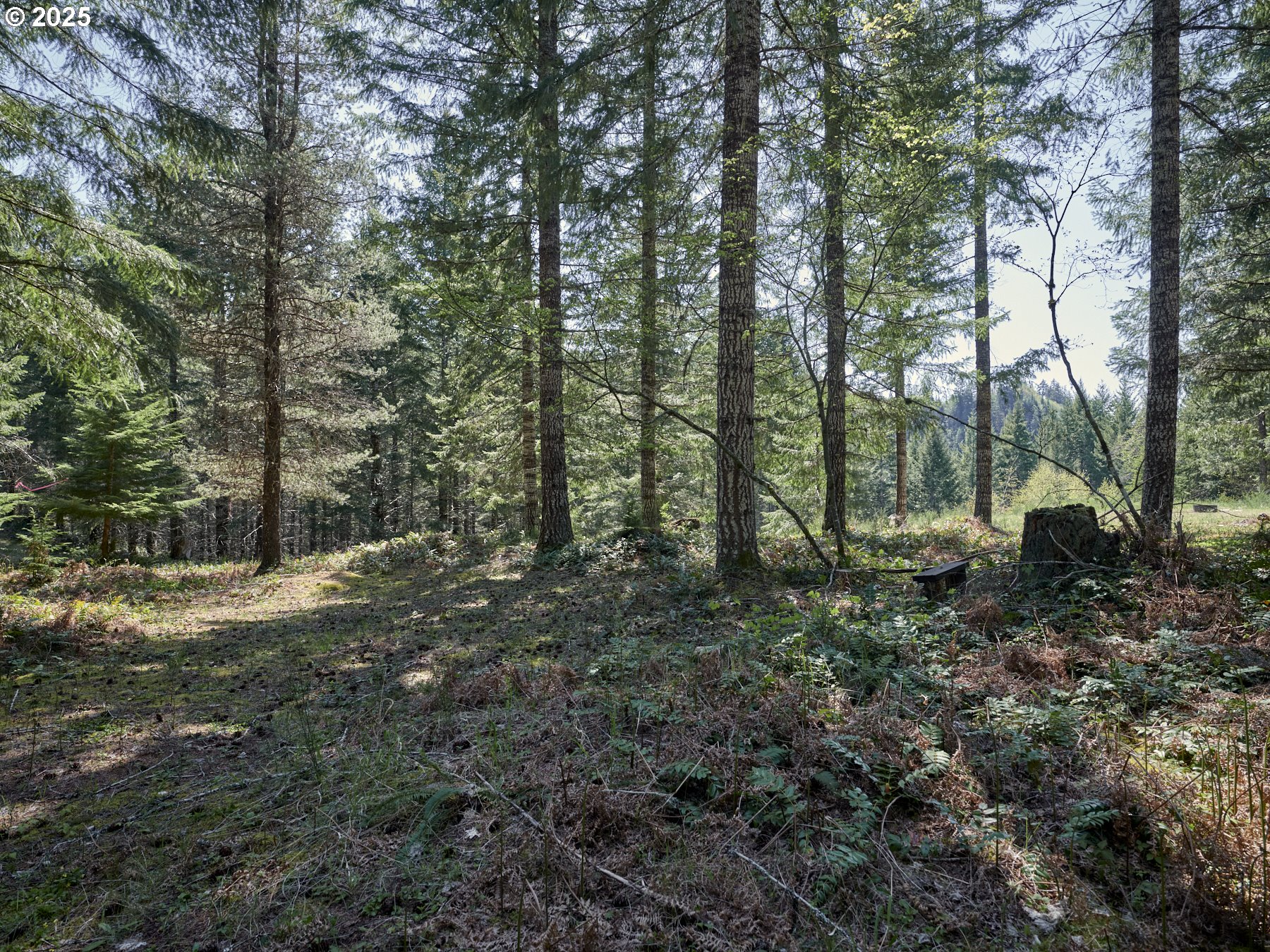 2 Loowit Lane Cougar, WA 98616 - Photo 11 of 30 Acreage