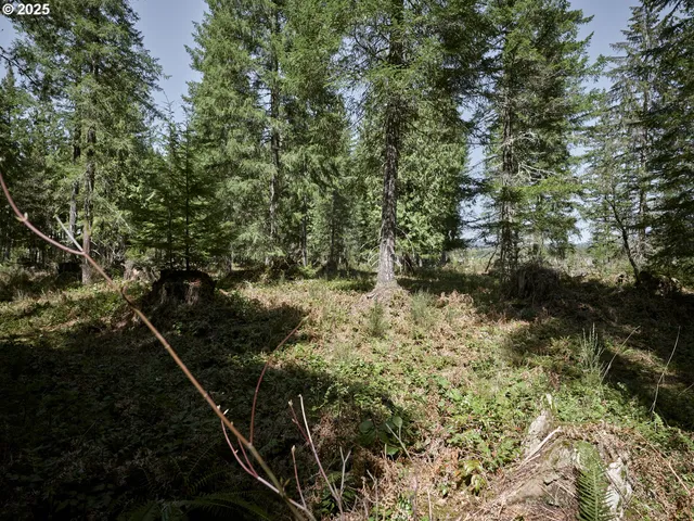 a view of a backyard of the house