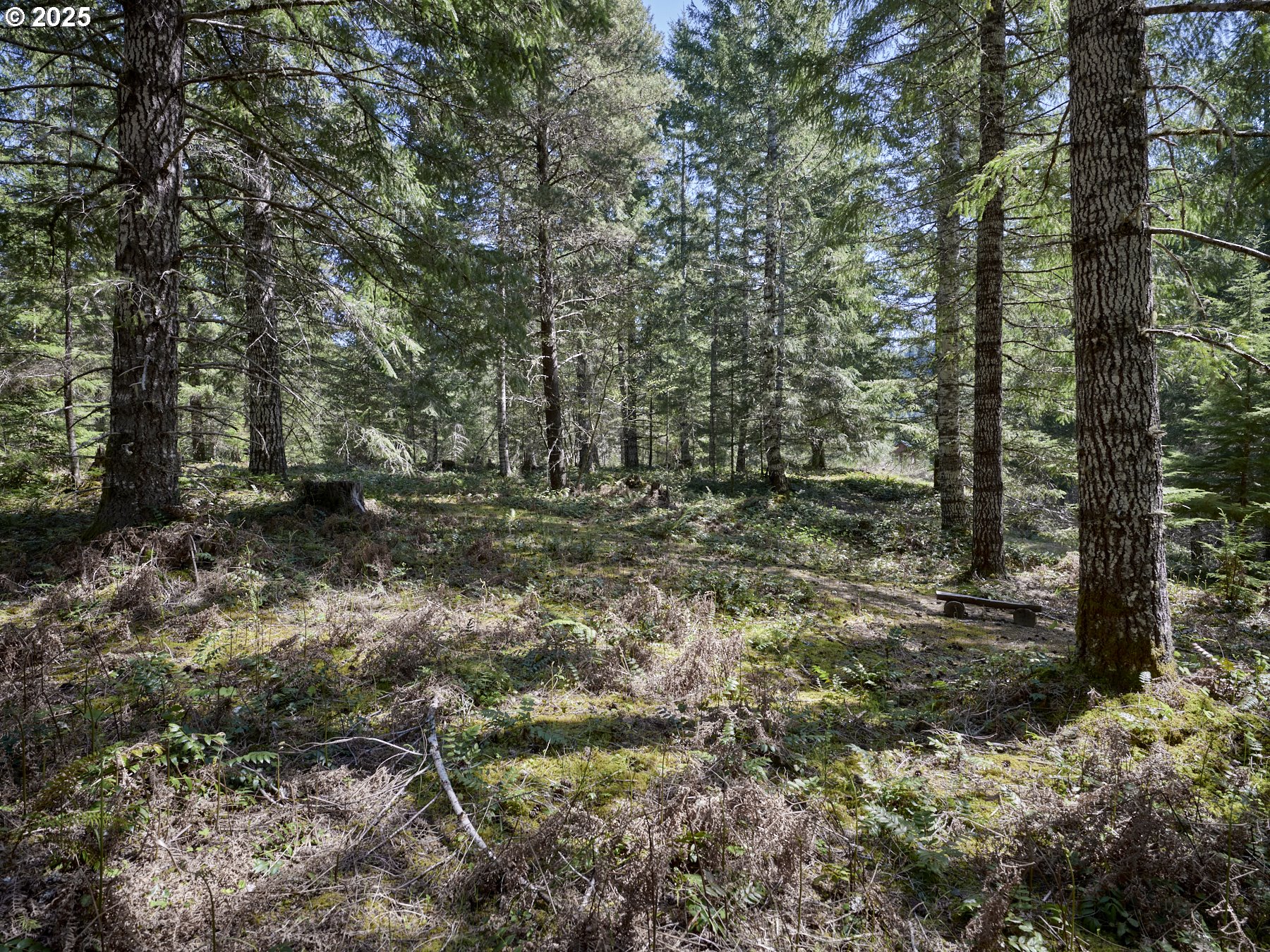 2 Loowit Lane Cougar, WA 98616 - Photo 13 of 30 Acreage