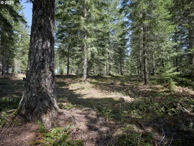 a view of outdoor space with trees