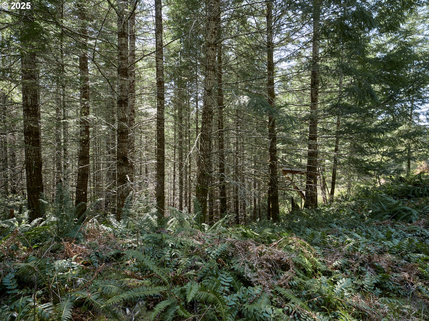 2 Loowit Lane Cougar, WA 98616 - Photo 16 of 30 Acreage
