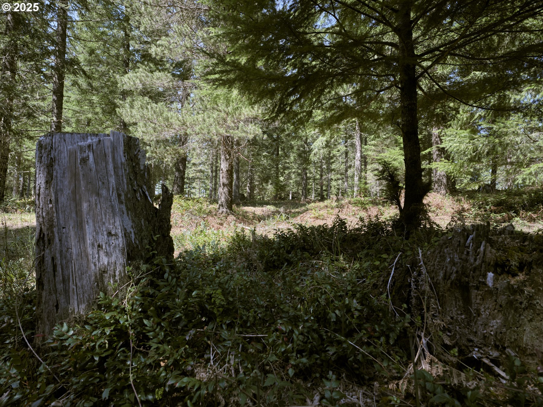 2 Loowit Lane Cougar, WA 98616 - Photo 17 of 30 Acreage