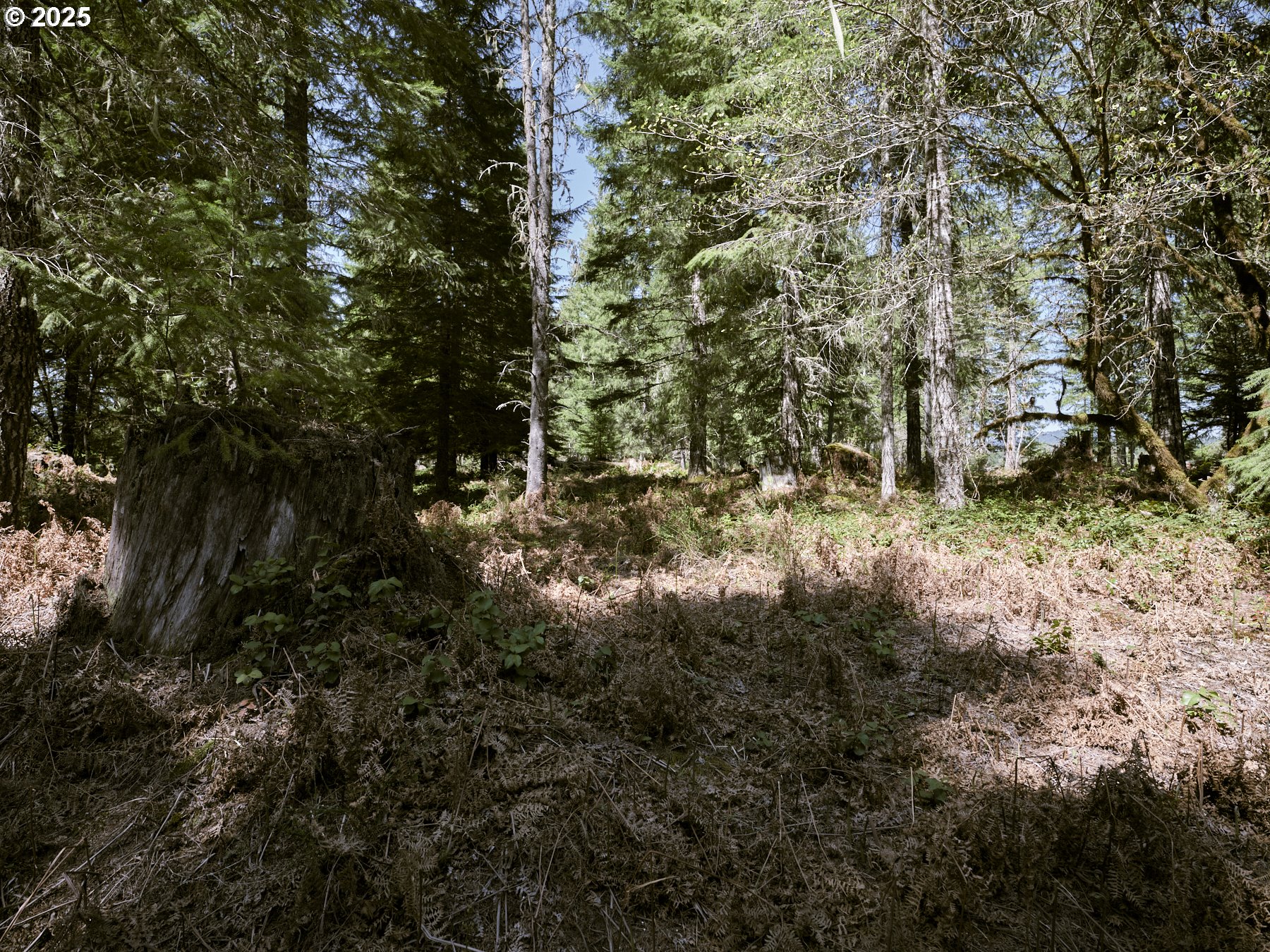 2 Loowit Lane Cougar, WA 98616 - Photo 18 of 30 Acreage