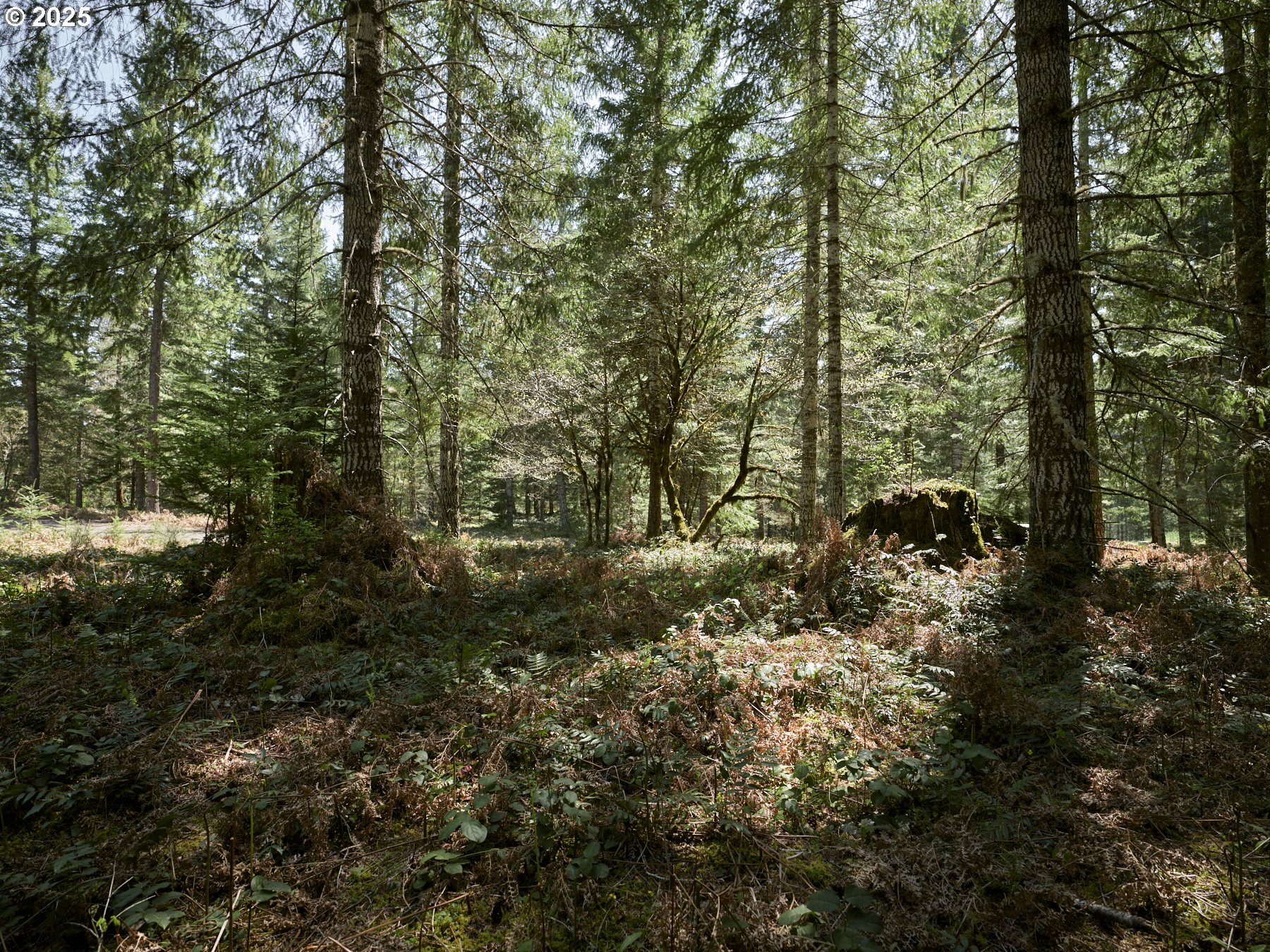 2 Loowit Lane Cougar, WA 98616 - Photo 22 of 30 Acreage