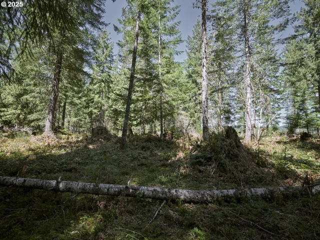 a view of outdoor space and trees