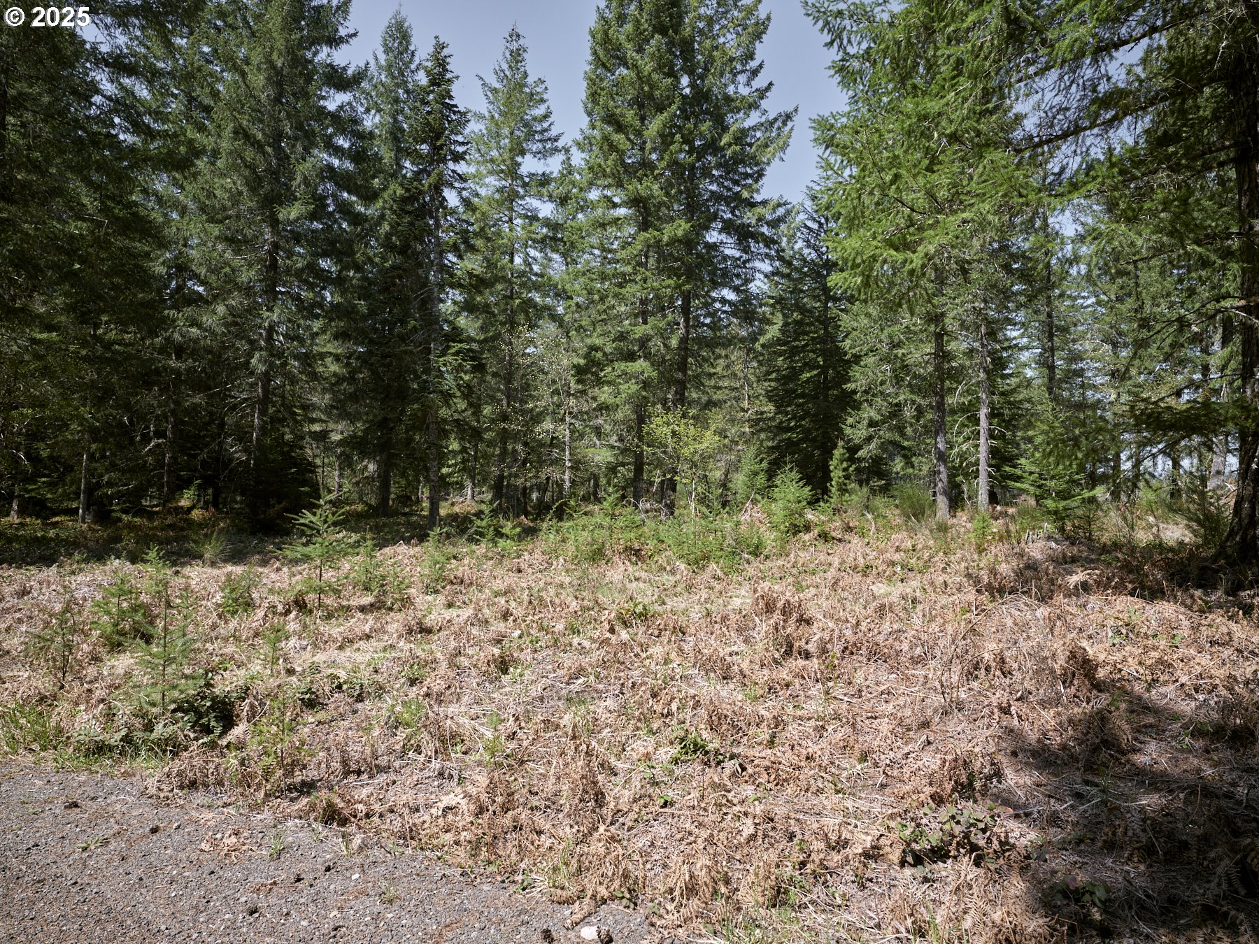 2 Loowit Lane Cougar, WA 98616 - Photo 24 of 30 Acreage