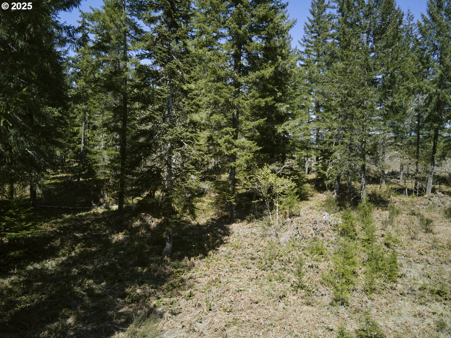 2 Loowit Lane Cougar, WA 98616 - Photo 26 of 30 Acreage