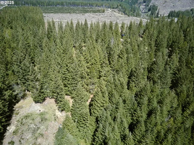 a view of a lake from a yard
