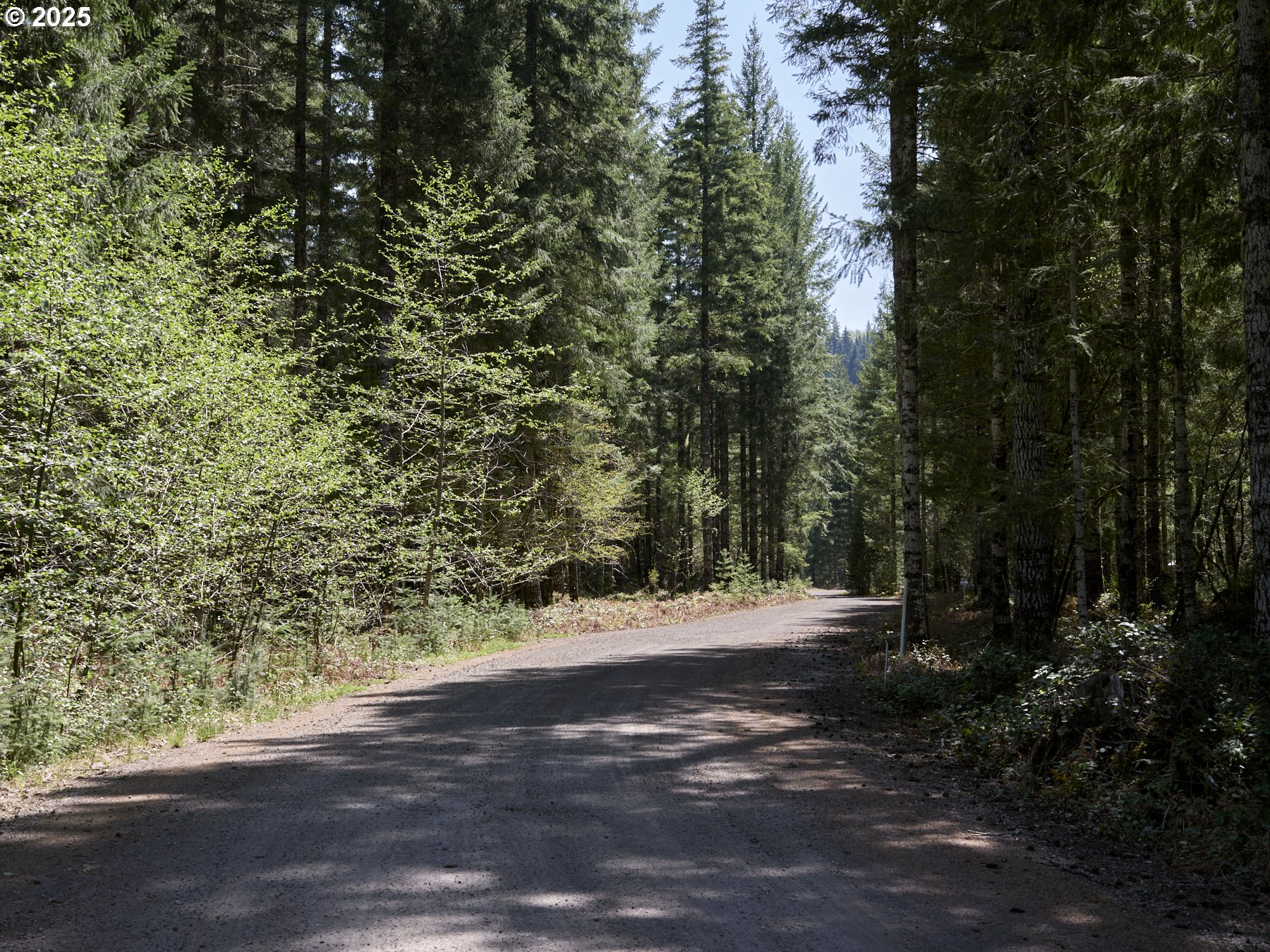 2 Loowit Lane Cougar, WA 98616 - Photo 3 of 30 Acreage