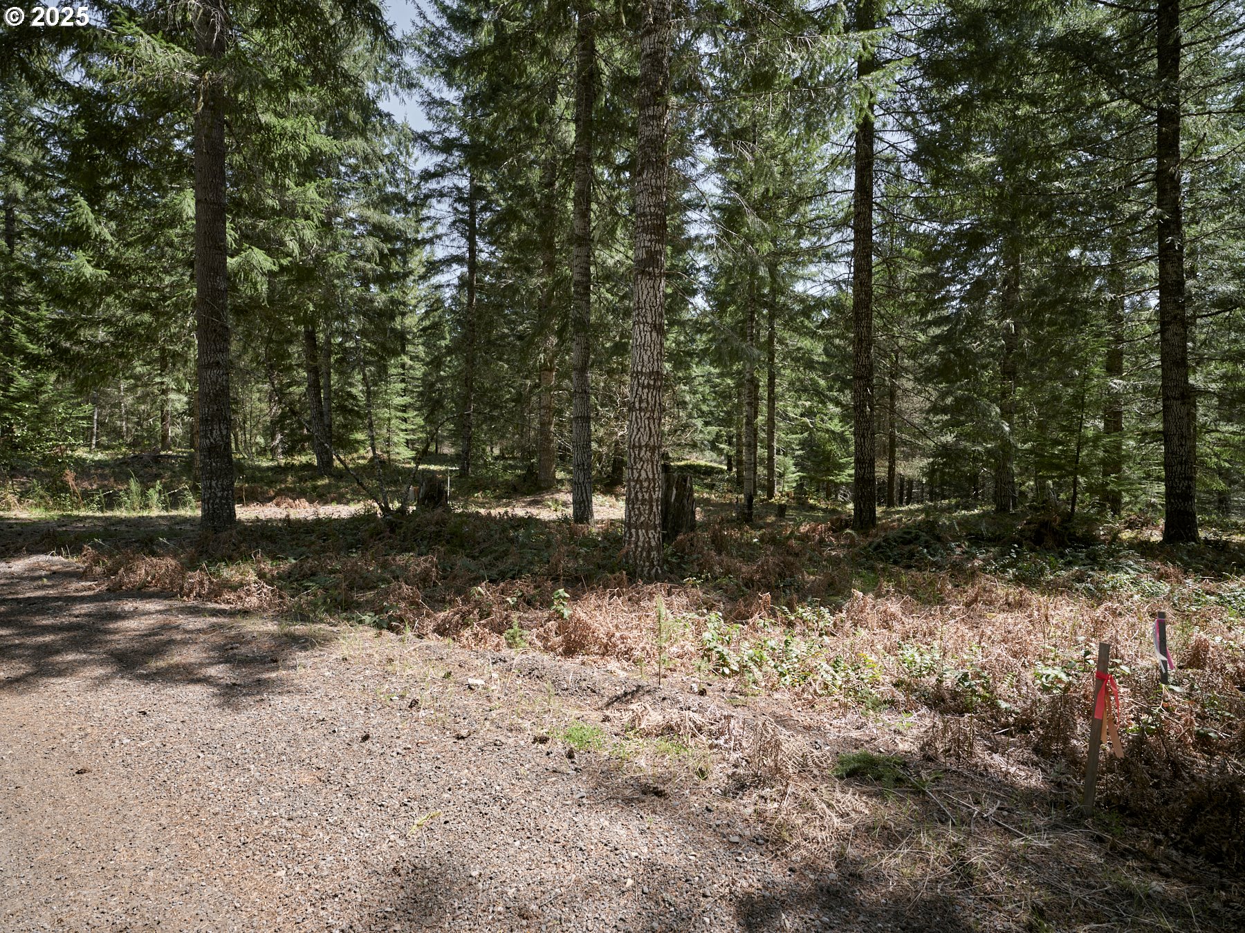 2 Loowit Lane Cougar, WA 98616 - Photo 5 of 30 View