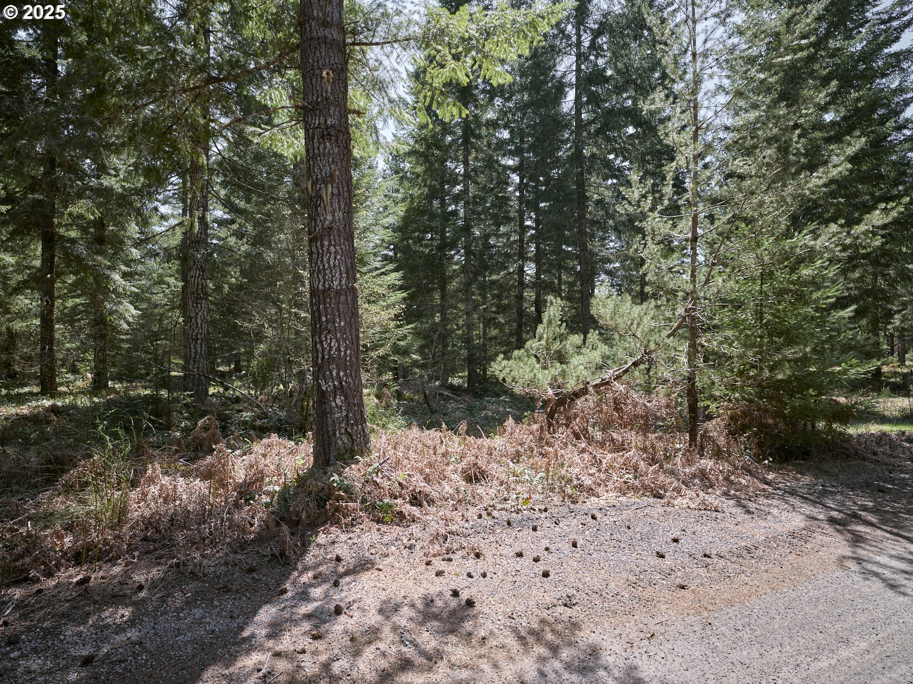 2 Loowit Lane Cougar, WA 98616 - Photo 6 of 30 Approximate Property Lines