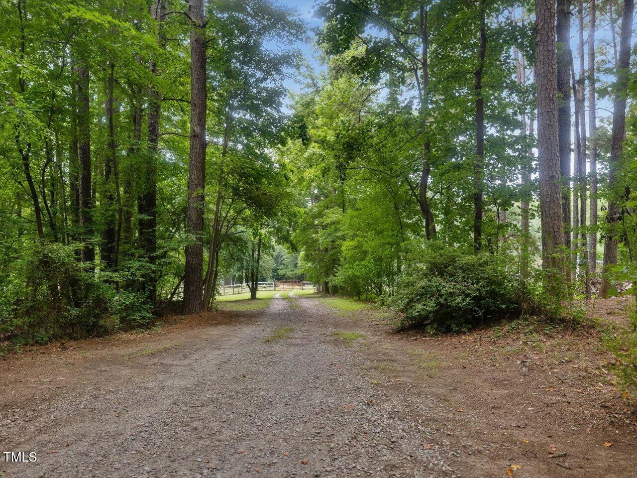 2138 Old Mill Farm Road Franklinton, NC 27525 - Photo 58 of 63 72-Driveway