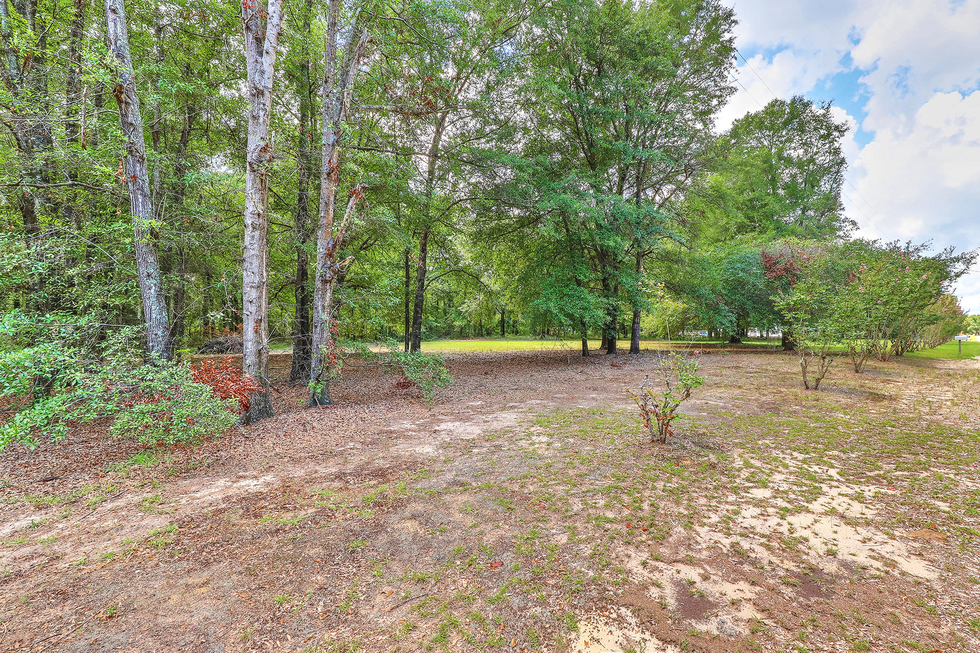1405 Goslin Pond Road Summerton, SC 29148 - Photo 47 of 52 IMG_8433_4_5