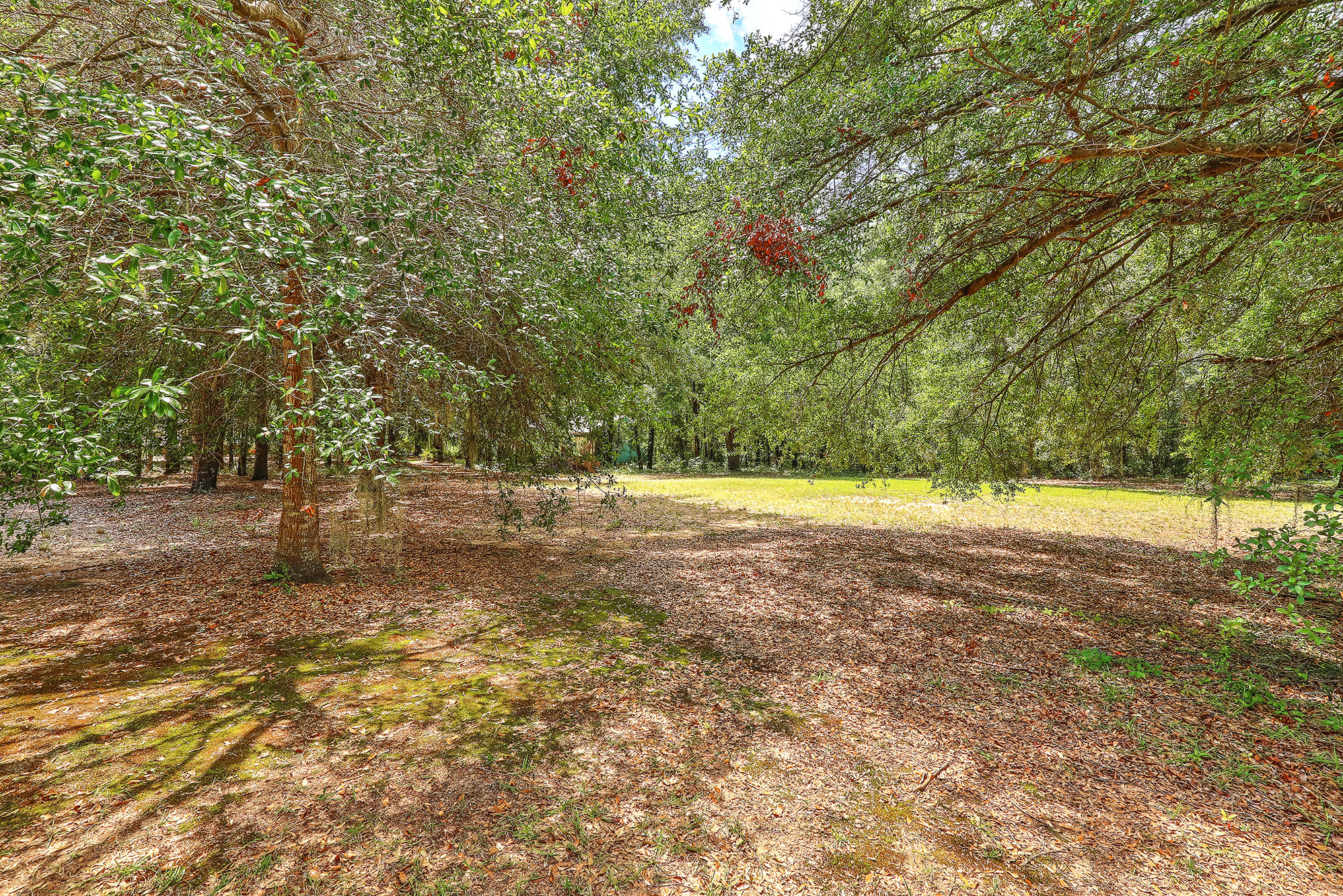 1405 Goslin Pond Road Summerton, SC 29148 - Photo 48 of 52 IMG_8436_7_8