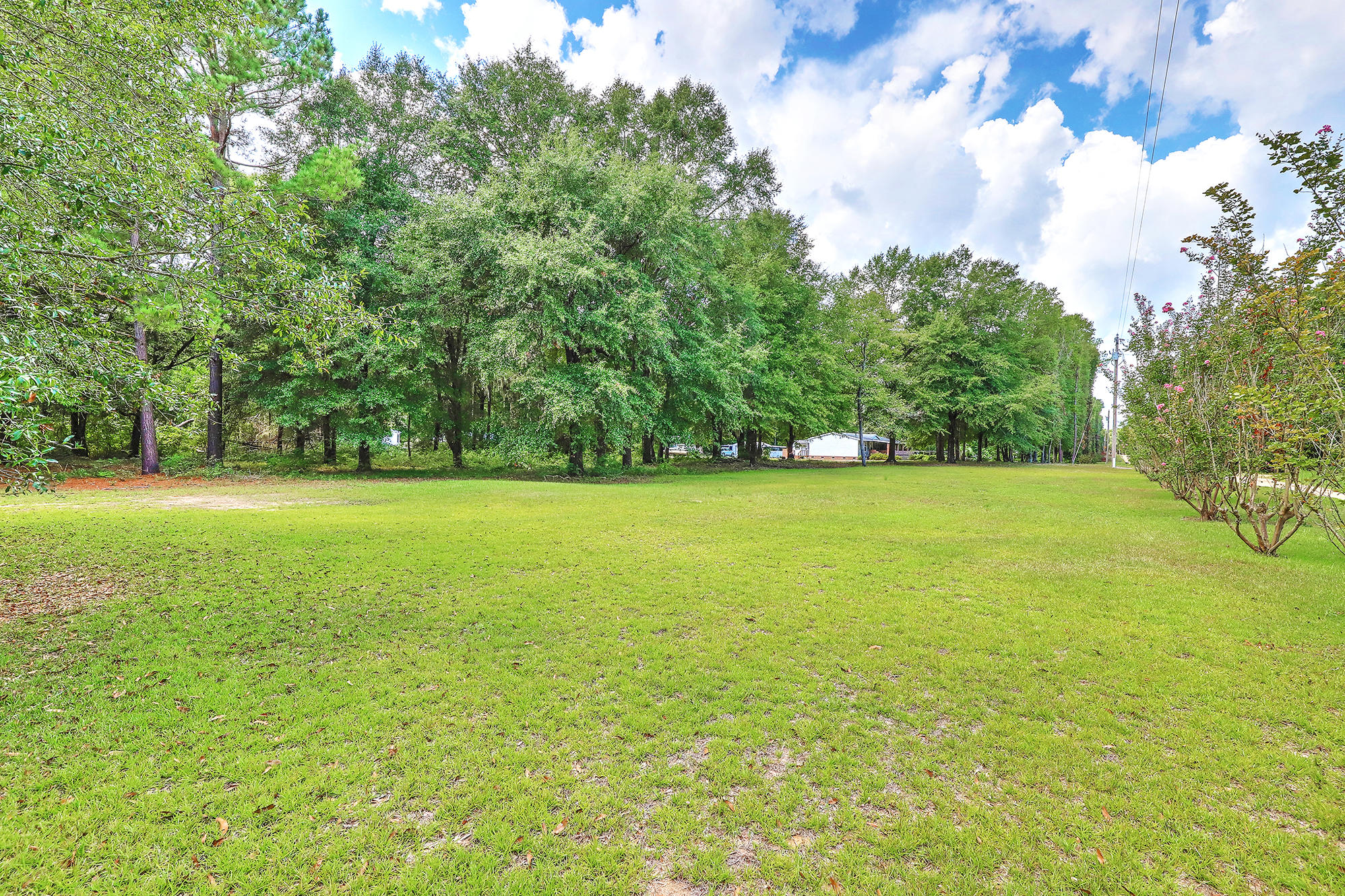 1405 Goslin Pond Road Summerton, SC 29148 - Photo 49 of 52 IMG_8439_40_41