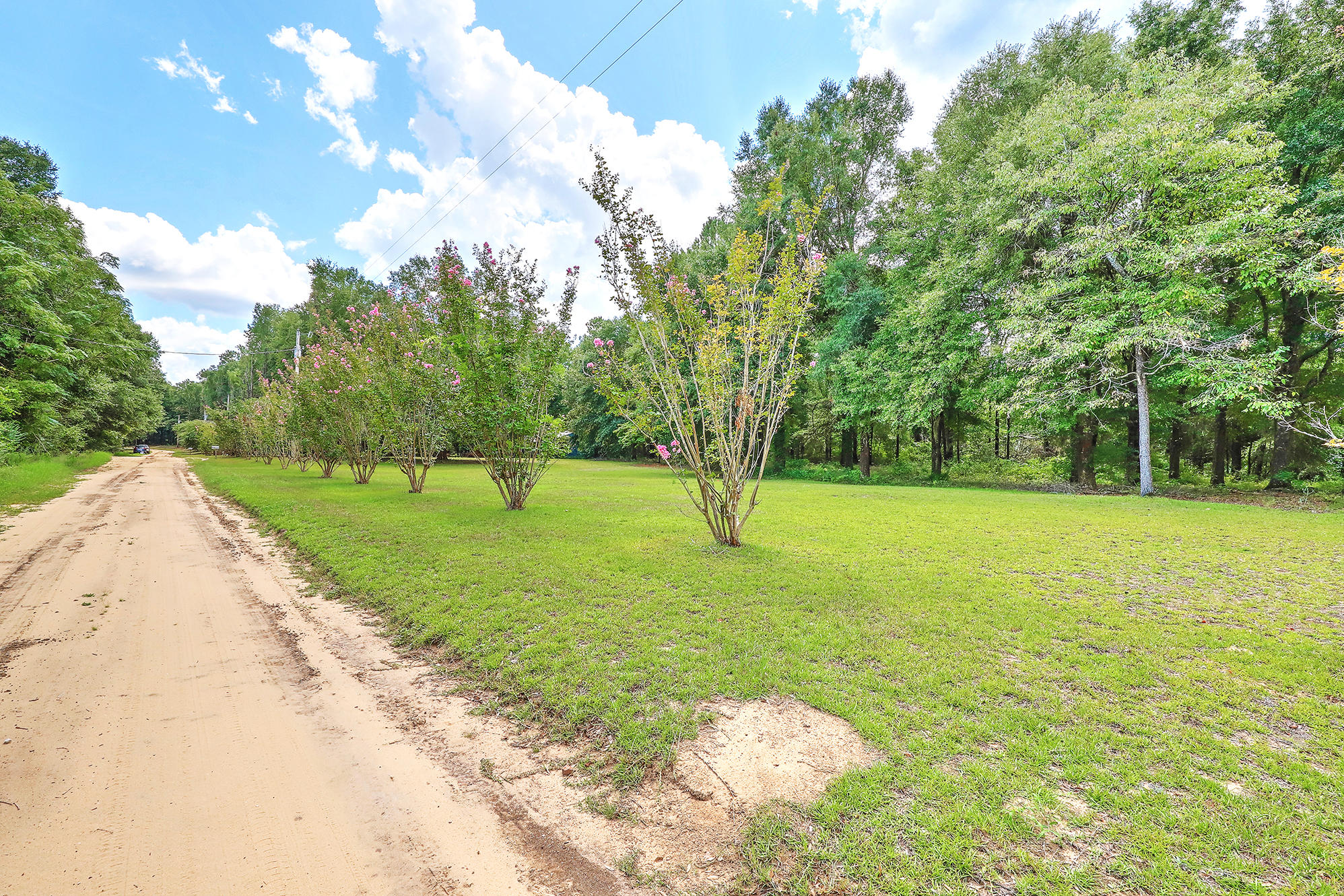 1405 Goslin Pond Road Summerton, SC 29148 - Photo 51 of 52 IMG_8445_6_7