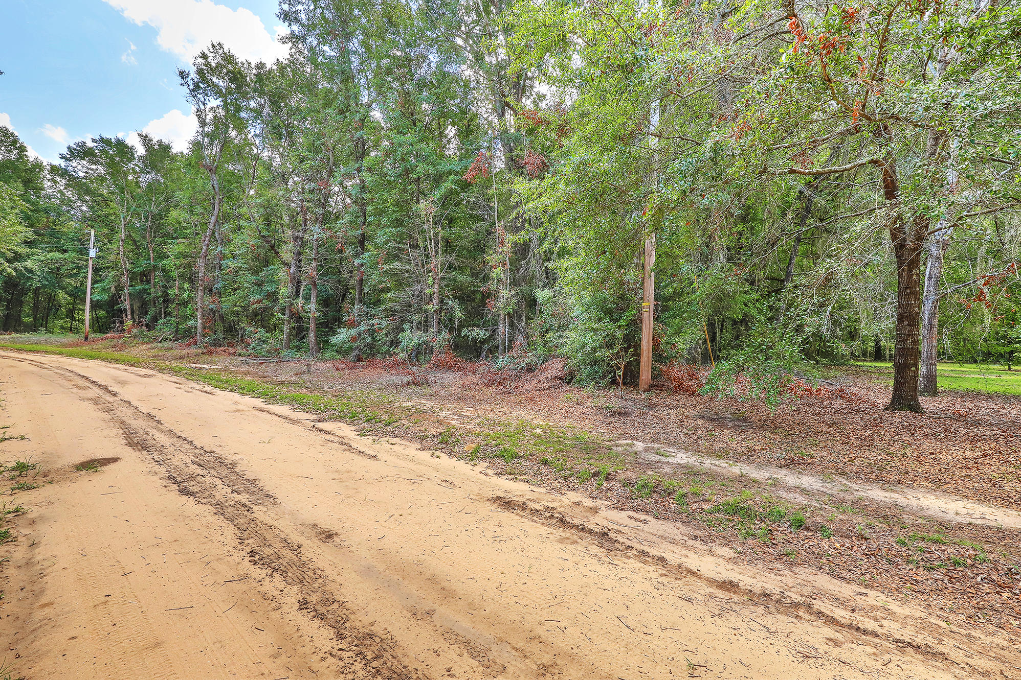 1405 Goslin Pond Road Summerton, SC 29148 - Photo 52 of 52 IMG_8448_49_50