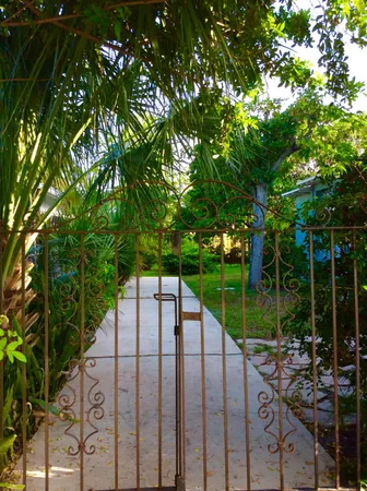 a view of a tree with a yard