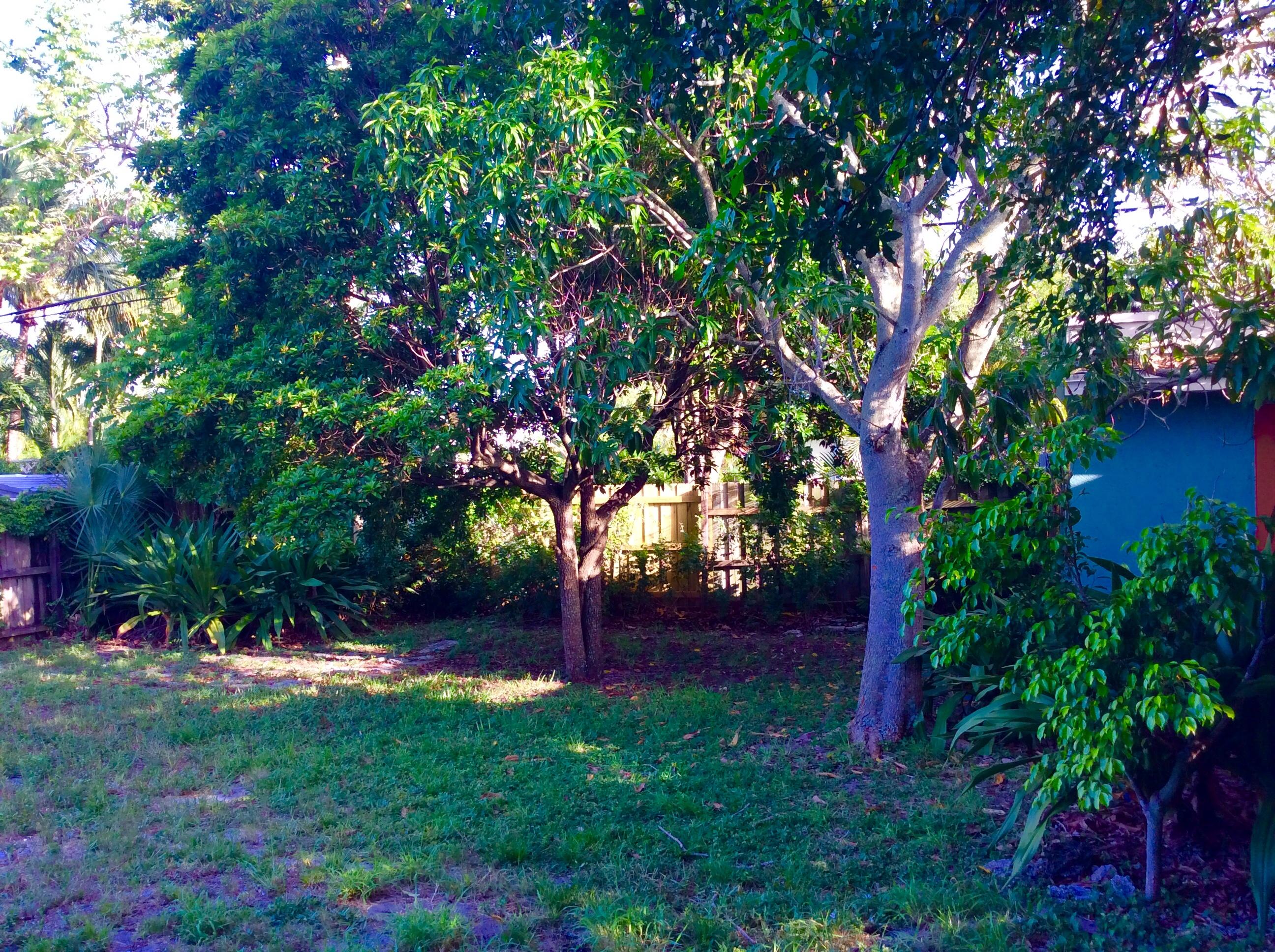 382 Ellamar Road West Palm Beach, FL 33405 - Photo 38 of 39 a view of a backyard