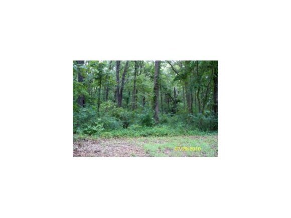 Raintree Lane Shell Knob, MO 65747 - Photo 1 of 1 Primary Photo