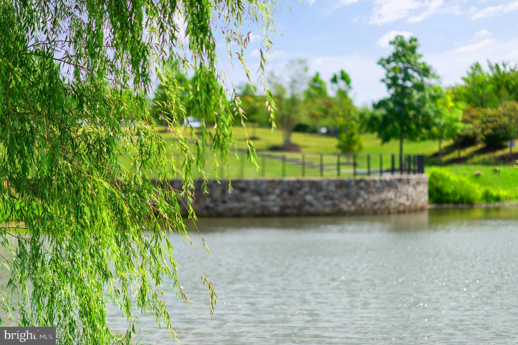 24974 First Harvest Court Aldie, VA 20105 - Photo 136 of 143 Willow Lake
