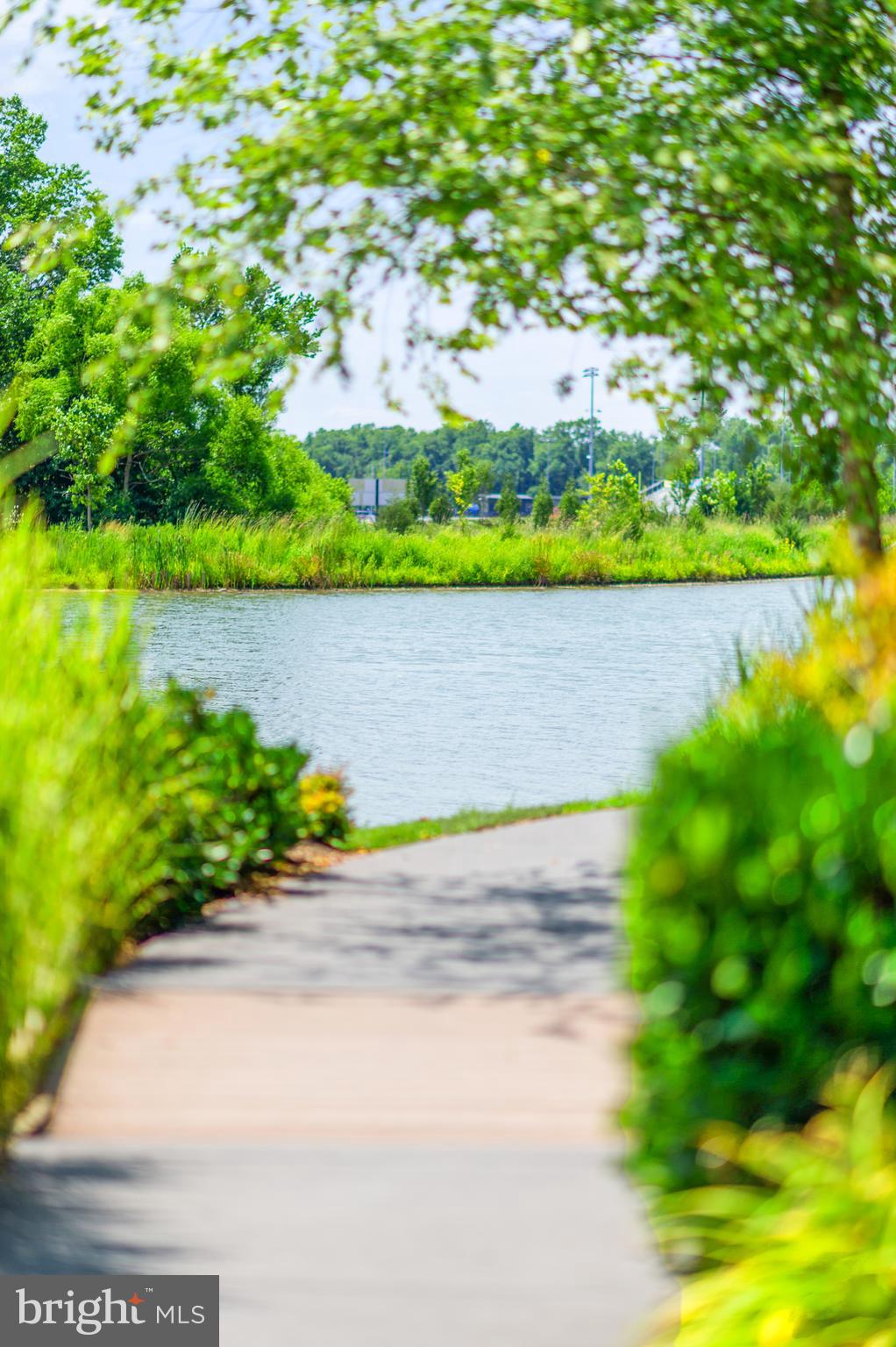 24974 First Harvest Court Aldie, VA 20105 - Photo 140 of 143 a view of a garden with an outdoor space