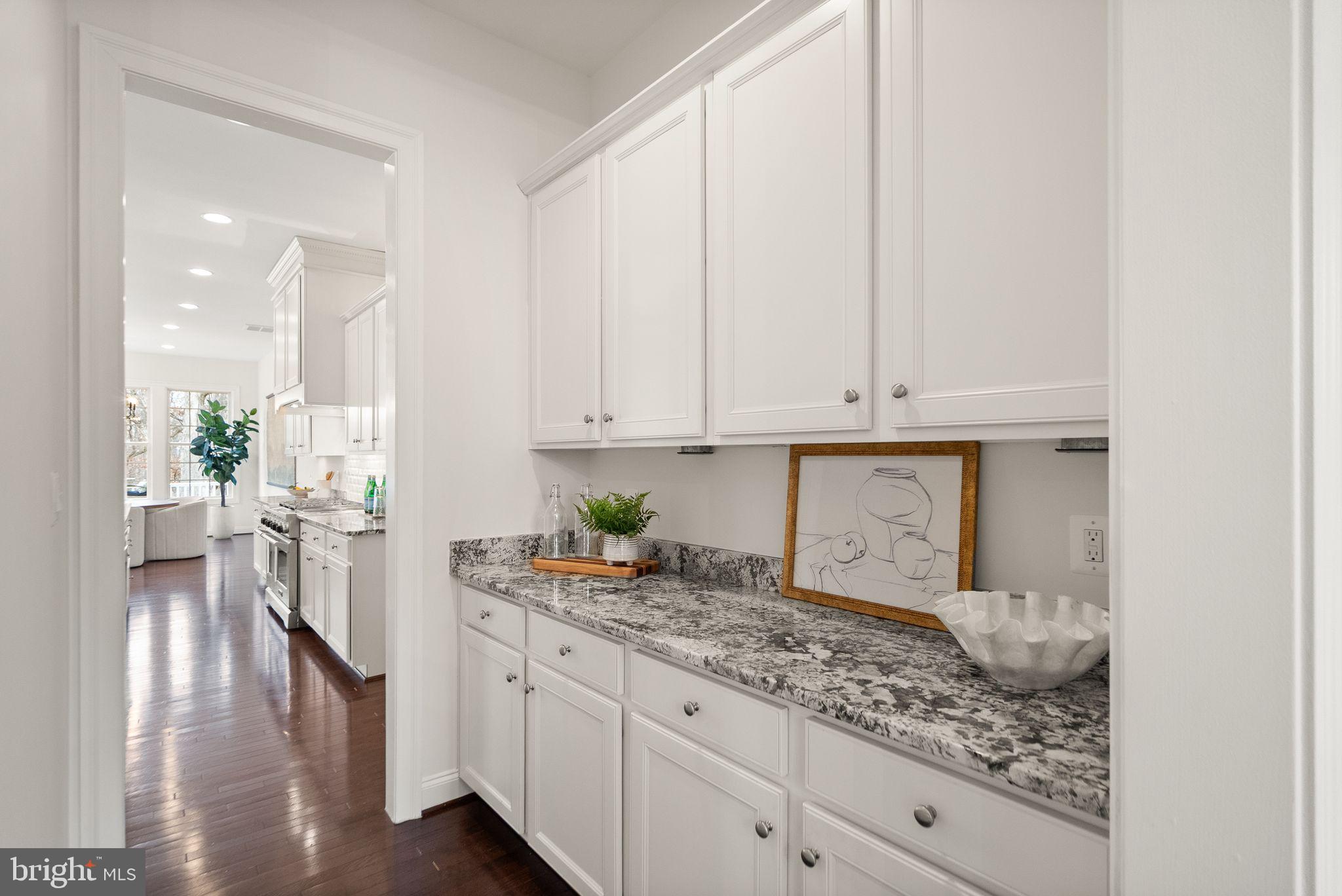 24974 First Harvest Court Aldie, VA 20105 - Photo 19 of 143 Butler's pantry