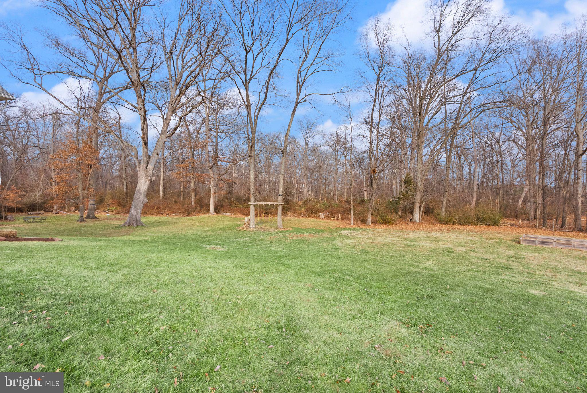 24974 First Harvest Court Aldie, VA 20105 - Photo 2 of 143 Plenty of room to build a future pool & pool house