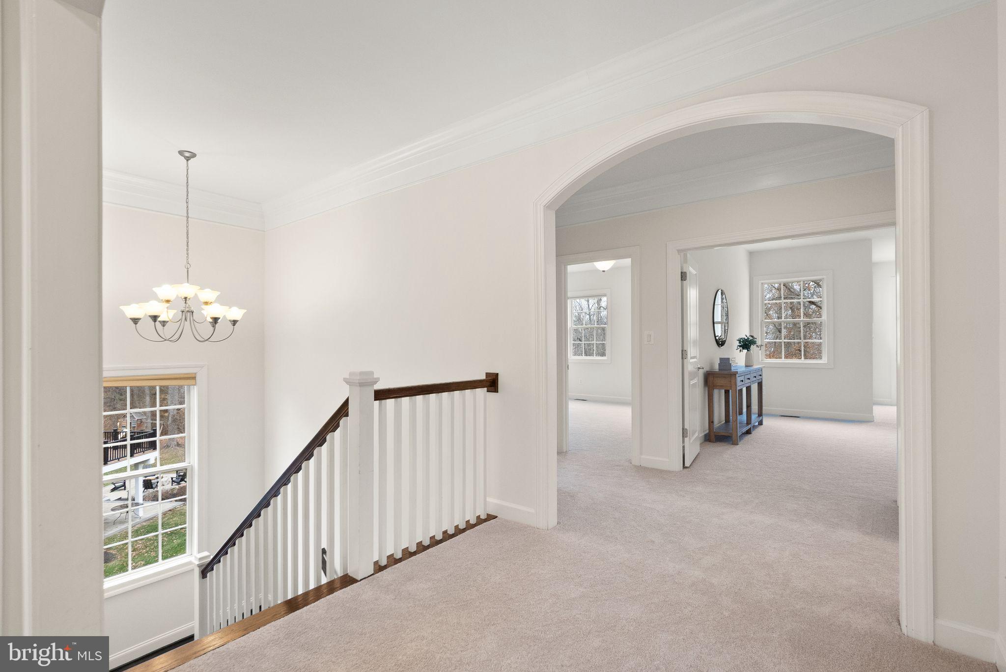 24974 First Harvest Court Aldie, VA 20105 - Photo 56 of 143 New carpet