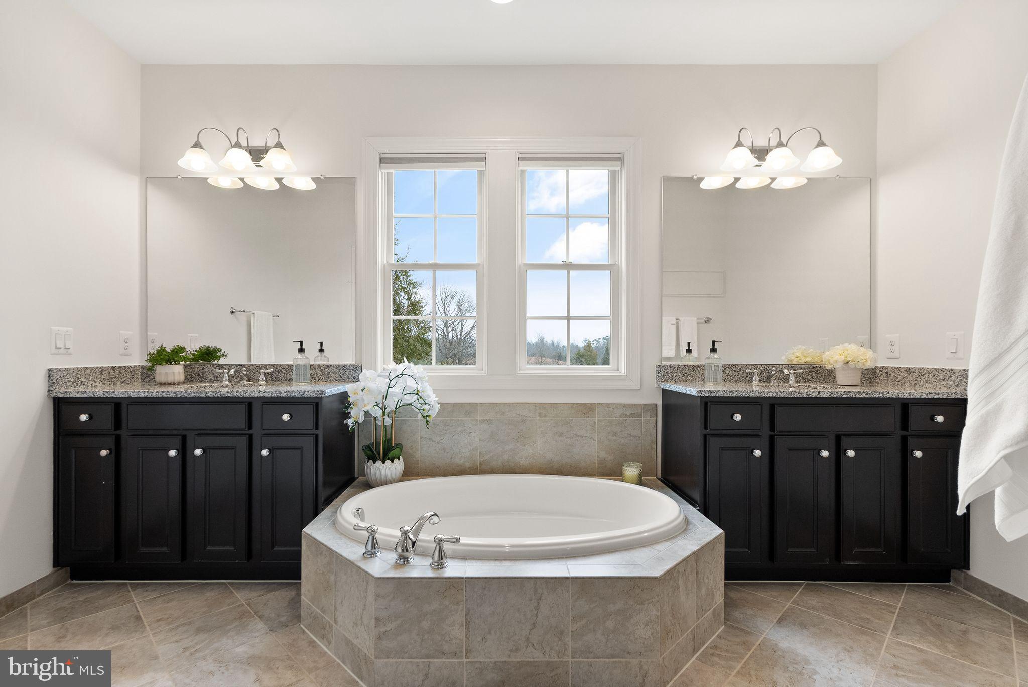 24974 First Harvest Court Aldie, VA 20105 - Photo 67 of 143 Soaking tub