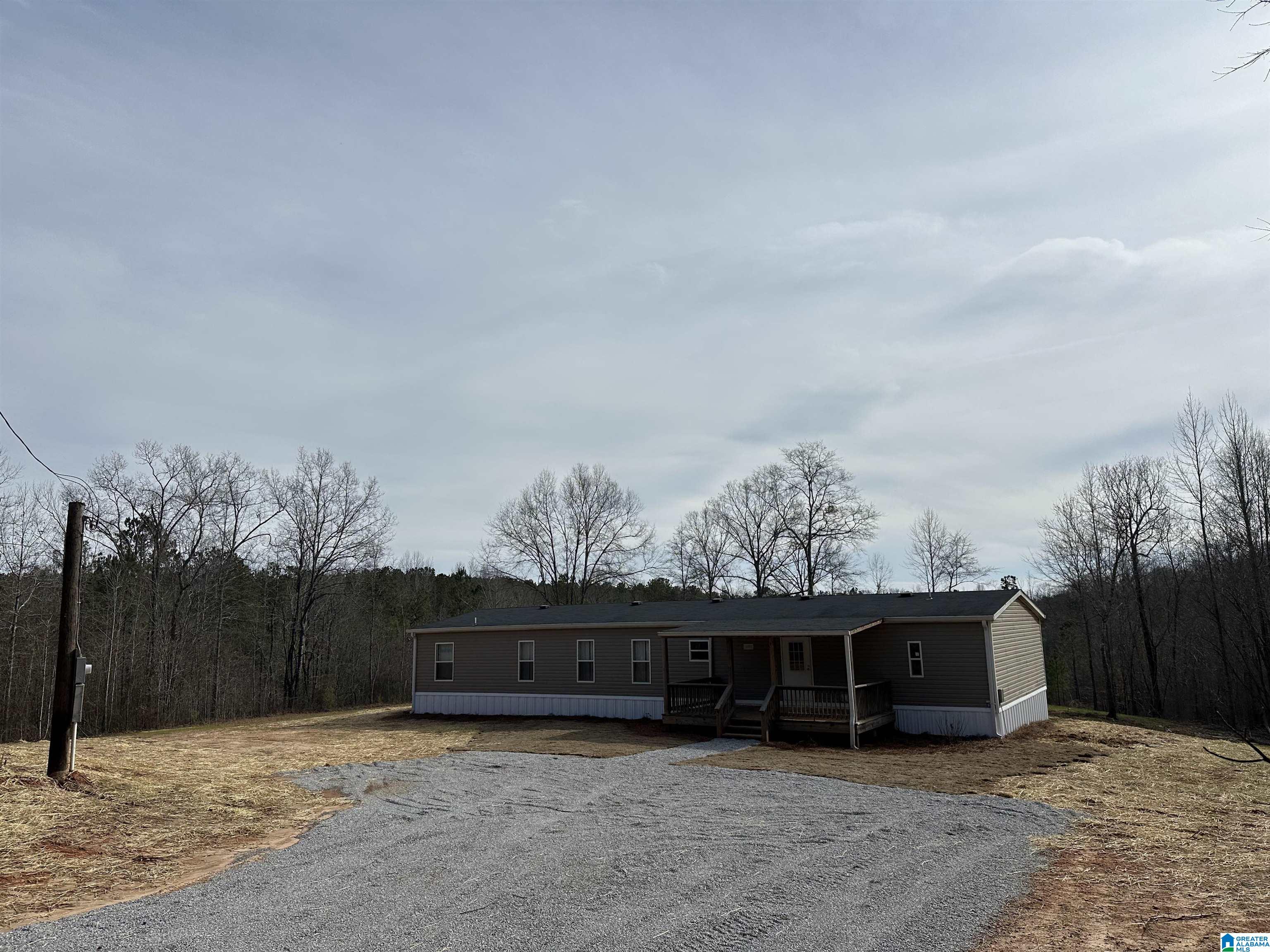 6640 County Road 79 Daviston, AL 36256 - Photo 3 of 20