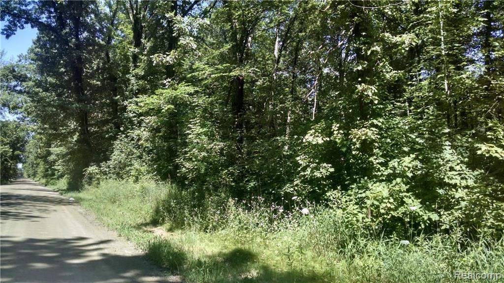 0 Coon Lake Road Fowlerville, MI 48836 - Photo 6 of 7