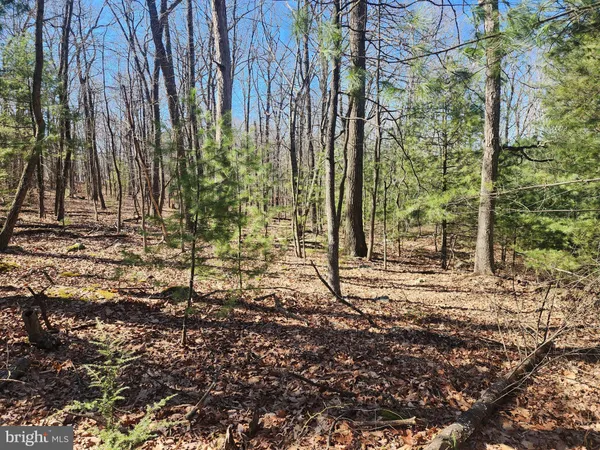 $150,000 | 1080 Cove Mountain Road, Mathias, WV 26812