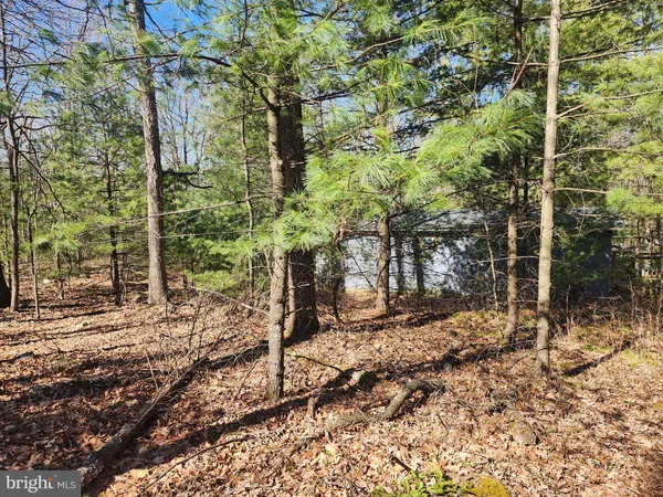 $150,000 | 1080 Cove Mountain Road, Mathias, WV 26812