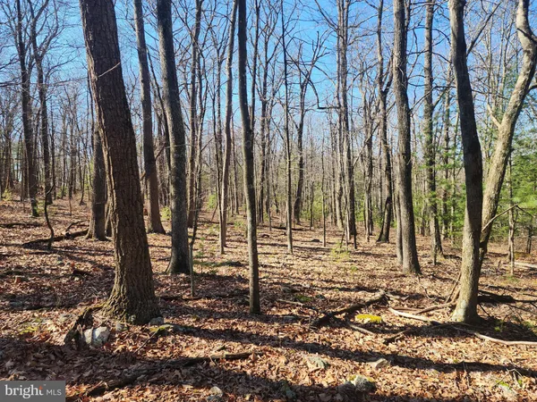 $150,000 | 1080 Cove Mountain Road, Mathias, WV 26812