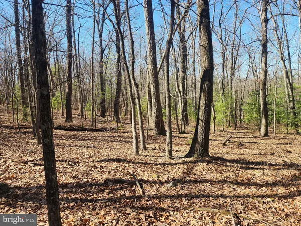 $150,000 | 1080 Cove Mountain Road, Mathias, WV 26812