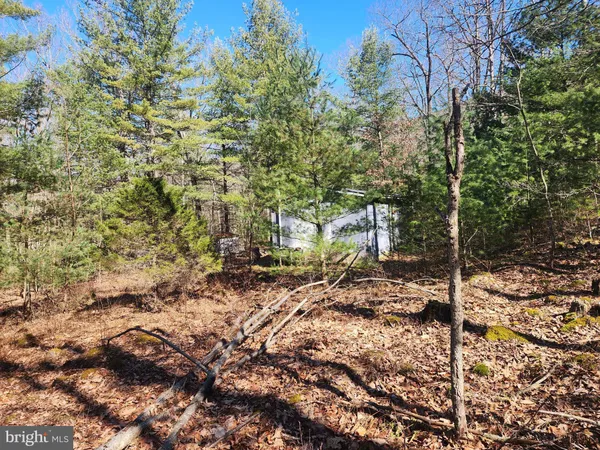$150,000 | 1080 Cove Mountain Road, Mathias, WV 26812