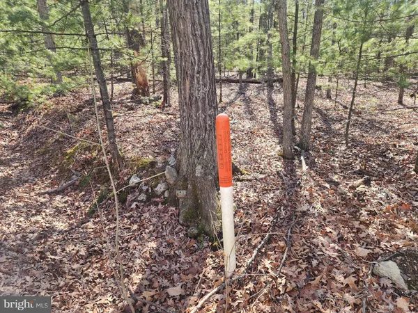 $150,000 | 1080 Cove Mountain Road, Mathias, WV 26812