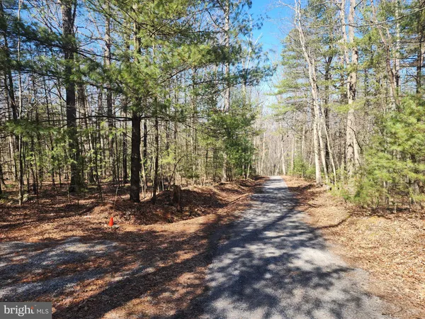 $150,000 | 1080 Cove Mountain Road, Mathias, WV 26812